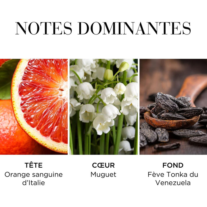 Parfum Femme Elizabeth Arden WHITE TEA  Scentia : Parfums et fragrances