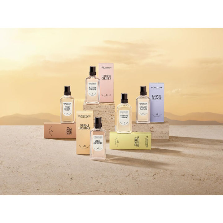 Parfum Femme L'Occitane En Provence NÉROLI & ORCHIDÉE  Scentia : Parfums et fragrances