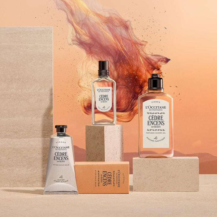 Parfum Homme L'Occitane En Provence CÉDRE ENCENS  Scentia : Parfums et fragrances