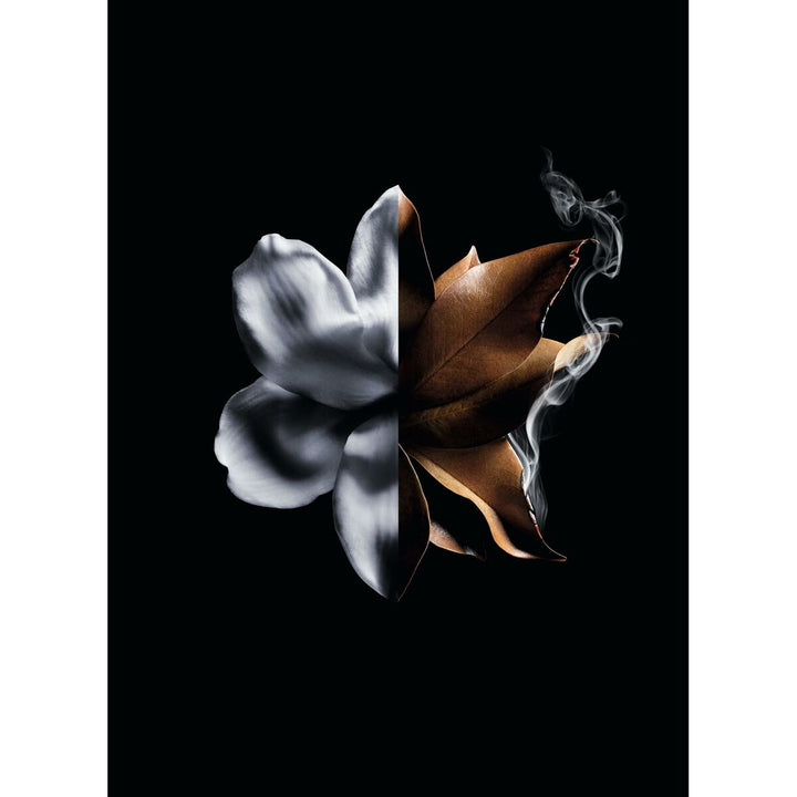 L'INTERDIT ABSOLU INTENSE • GIVENCHY Paris • 50 ml • Eau de parfum intense pour femme  Scentia : Parfums et fragrances