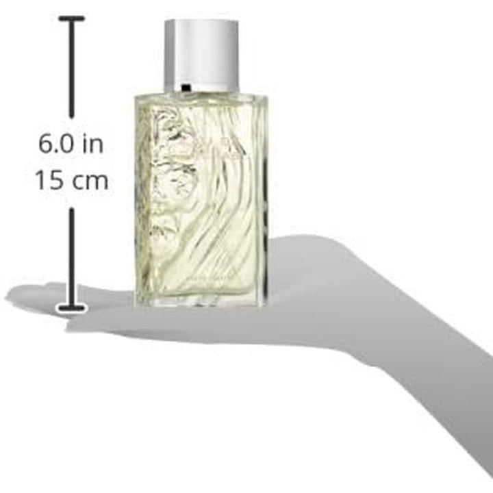 EAU DE ROCHAS HOMME • ROCHAS Paris • 100 ml • Eau de toilette pour homme, vaporisateur/natural spray  Scentia : Parfums et fragrances