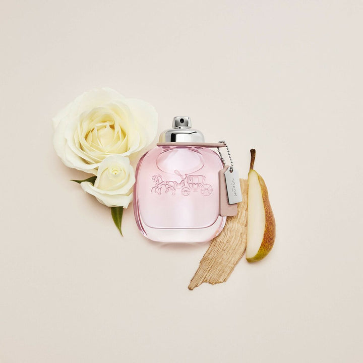 COACH (SIGNATURE) - EAU DE TOILETTE • COACH, New York • 30 ml • Eau de toilette pour femme, vaporisateur/natural spray  Scentia : Parfums et fragrances