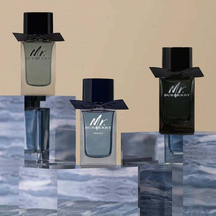 Mr. BURBERRY - EAU DE PARFUM • BURBERRY • 100 ml • Eau de parfum pour homme, vaporisateur/natural spray  Scentia : Parfums et fragrances