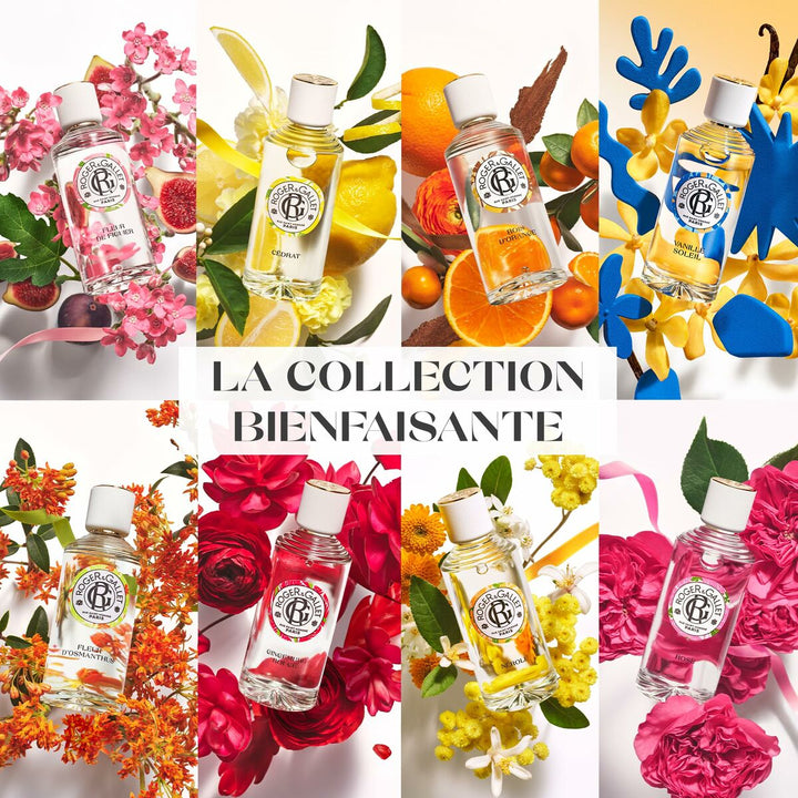 PARFUM SOLIDE BIENFAISANT ROSE • ROGER & GALLET • 5 g • Parfum solide sans alcool unisexe  Scentia : Parfums et fragrances