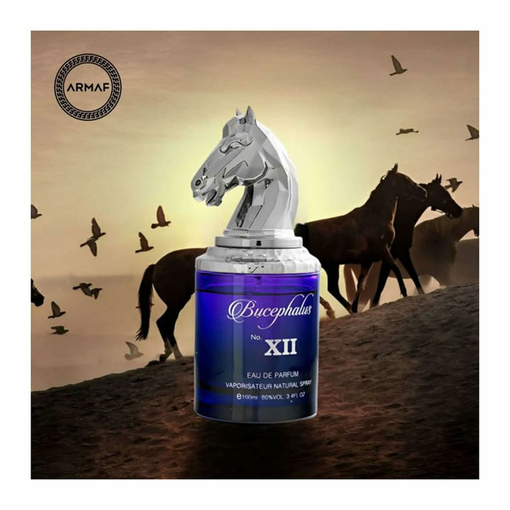 Bucephalus No XII • ARMAF NICHE • 100 ml • Eau de parfum pour homme  Scentia : Parfums et fragrances