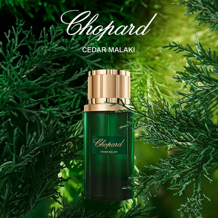 CEDAR MALAKI • Chopard • 80 ml • Eau de parfum unisexe/masculin, vaporisateur/natural spray  Scentia : Parfums et fragrances
