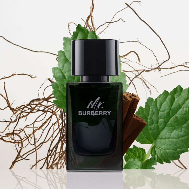 Mr. BURBERRY EAU DE PARFUM pour homme • BURBERRY • 100 ml  Scentia : Parfums et fragrances
